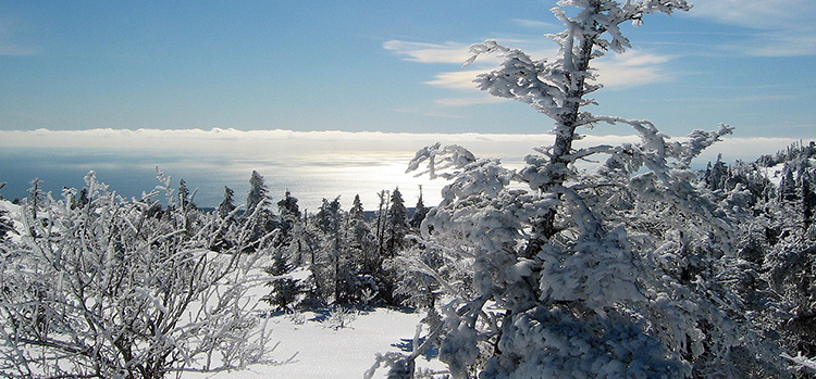 Acadia_National_Park_Skiing.jpg