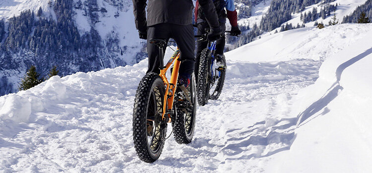 fatbike.jpg