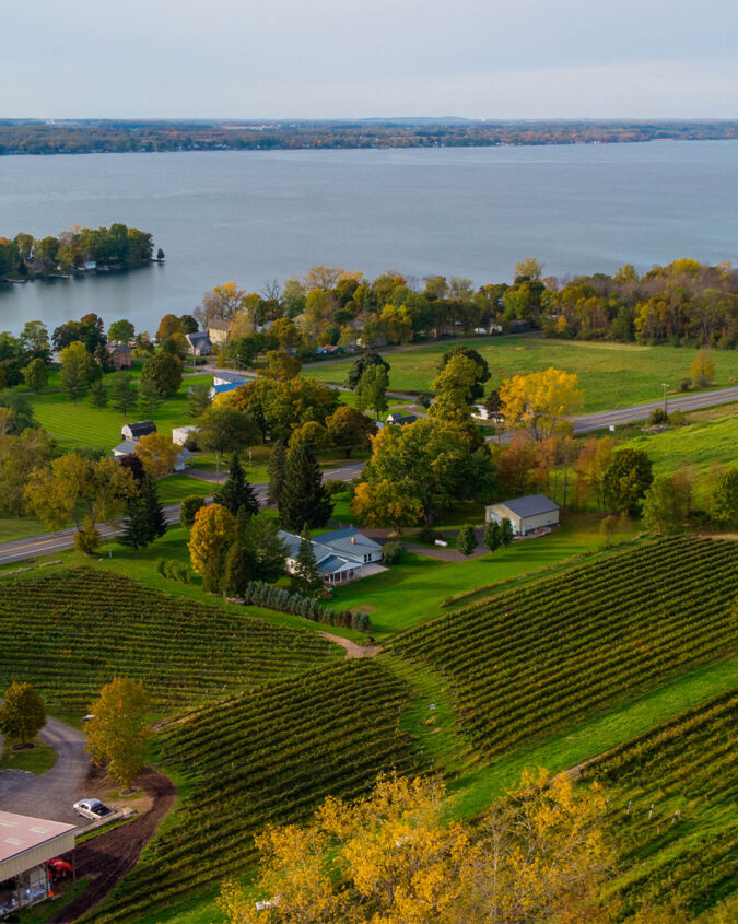 Finger Lakes wine tasting