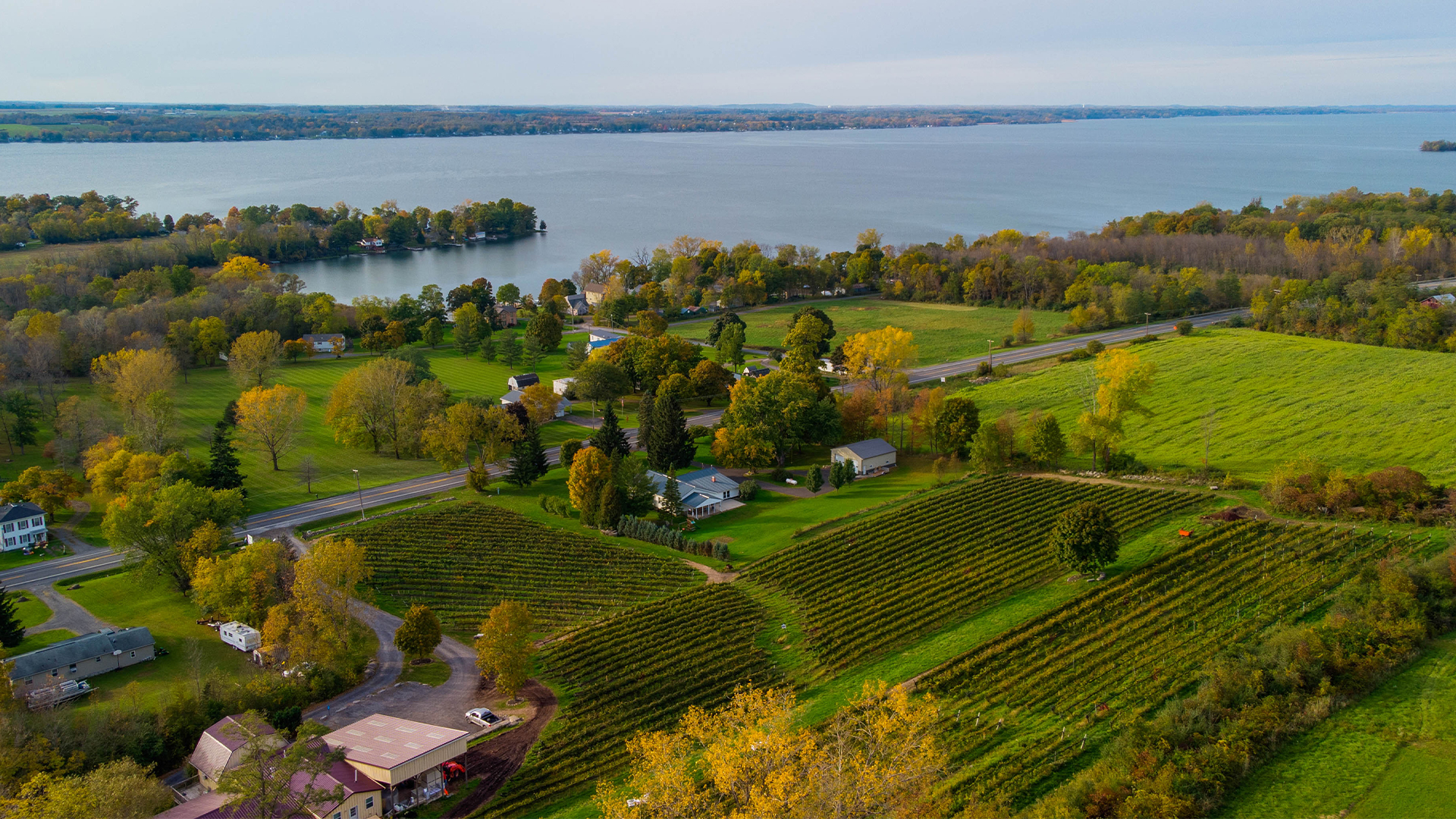 Finger Lakes wine tasting