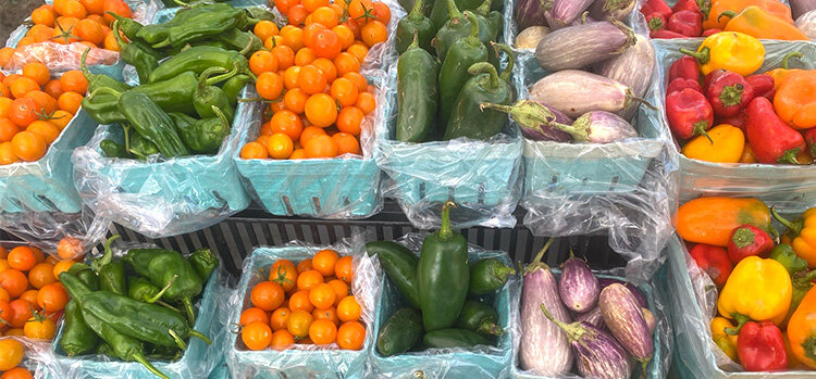 Photo courtesy Open Minded Organics