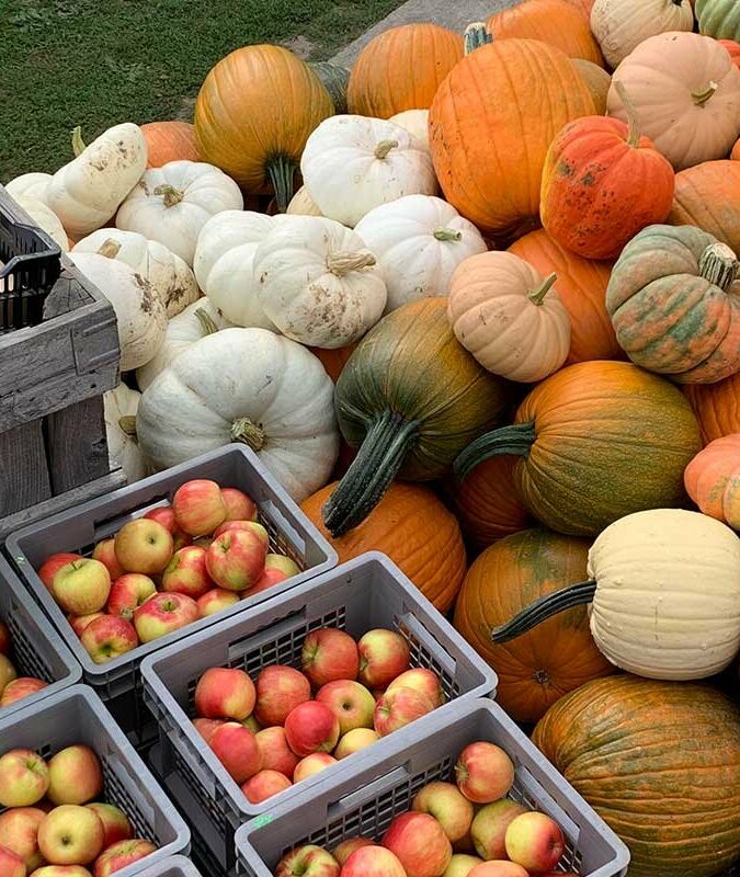 Three Farms to Visit in the Hamptons