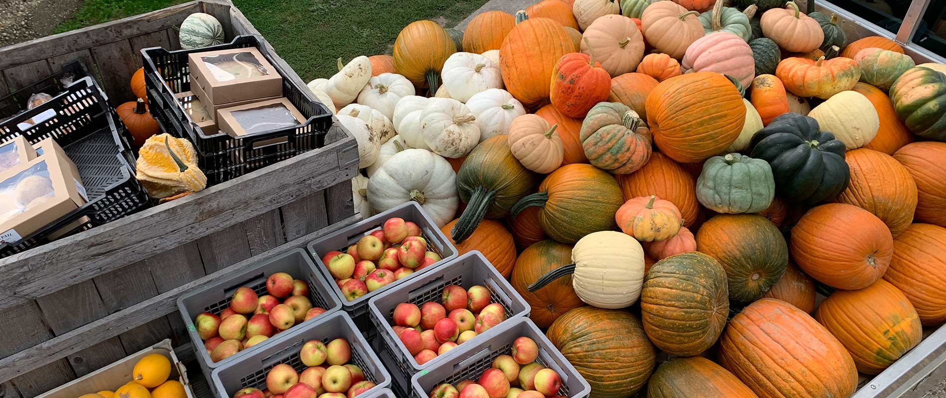 Three Farms to Visit in the Hamptons