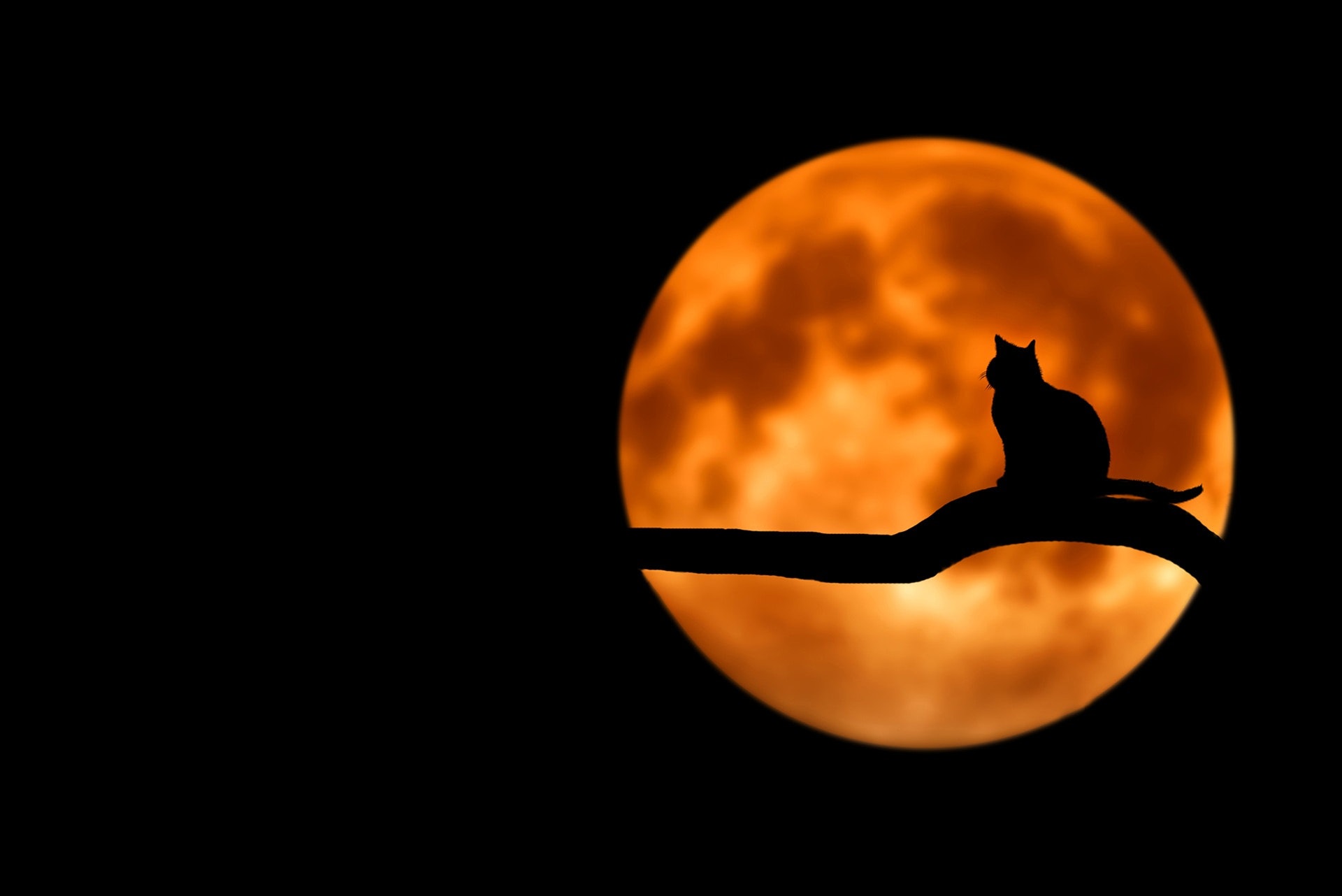 Halloween in Salem