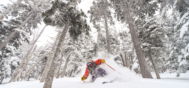 Photo: Sugarloaf / Noelle Tuttle