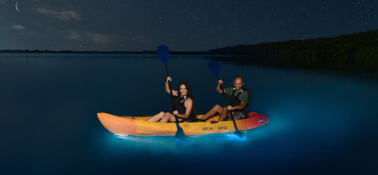 Tradewind_PR_bioluminescence.jpg