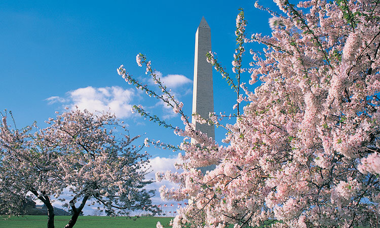 Photo: Washington.org