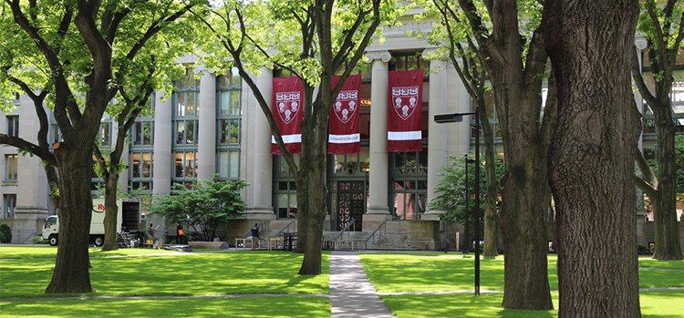 Harvard University